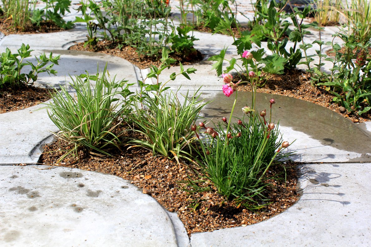 Je hebt hem al eens vaker voorbij zien komen en nu kun je er alles over lezen op onze website: de nieuwe #Wave-tegel! Neem snel een kijkje: buff.ly/2Lpvc88 #inontwikkeling #WeDesign