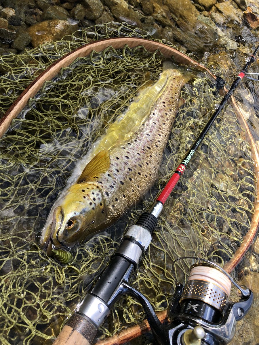 Shota Jenkins C 今日は初めて蝉ルアーで釣れた 大遅刻してしまったけどこの時期は希望を捨てずに頑張れる 笑 Huercojp Xt511 S 中禅寺湖 ブラウントラウト 美蝉