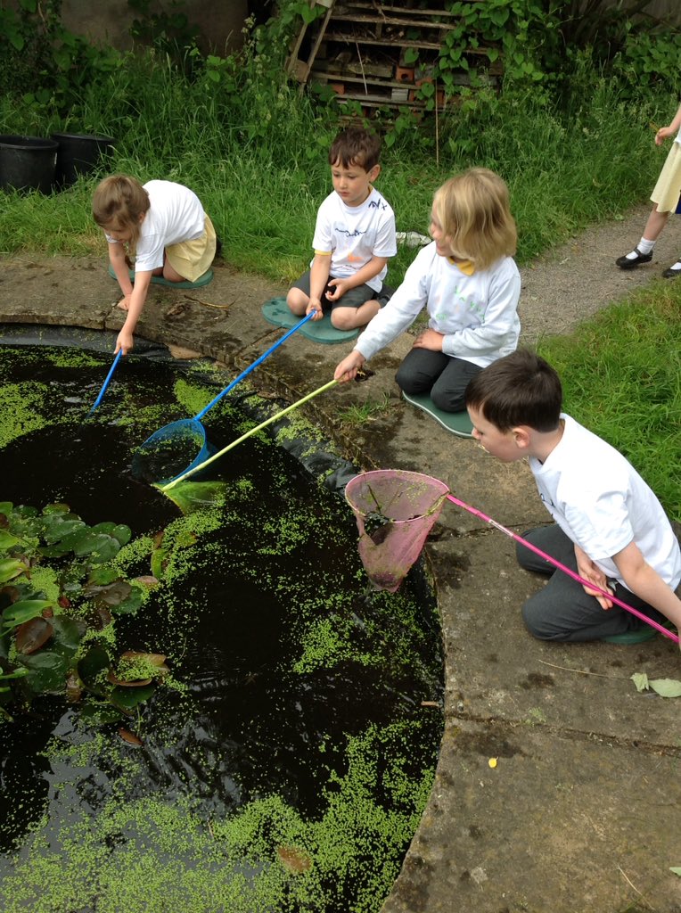 RedClassCKIS's tweet photo. We are scientists! We have been searching for wildlife in our nature area! https://t.co/a1LMYIkYtD