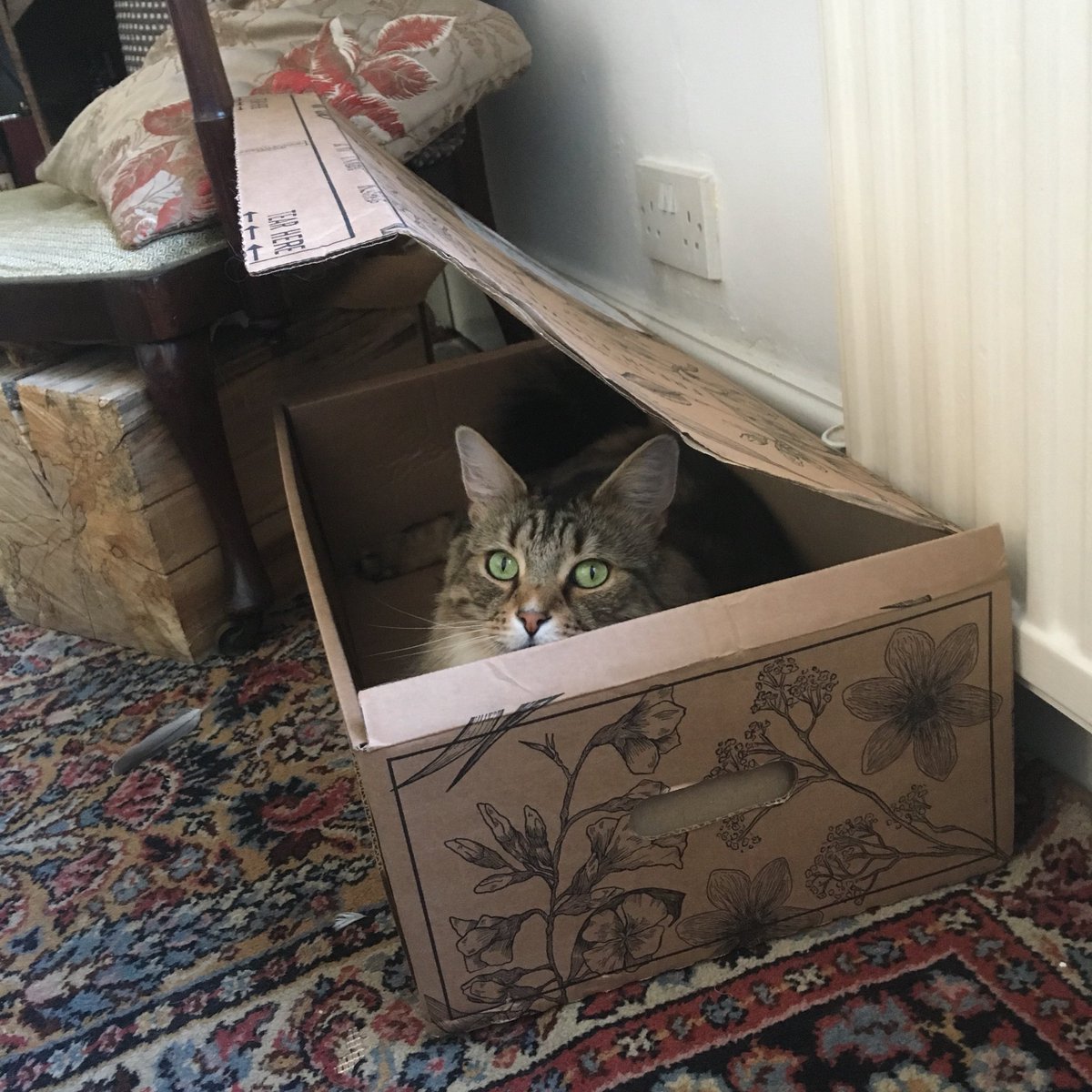 MrMaxMaximus's tweet photo. Delivery boxes are ALWAYS appreciated more then the content. #themstherules https://t.co/56asWFv5XD