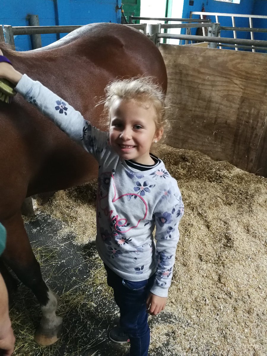 Y2Stradbroke's tweet photo. @StradbrokePri Ponies are all groomed now 🐴 #WhirlowHallFarm https://t.co/FFDLX9EEga