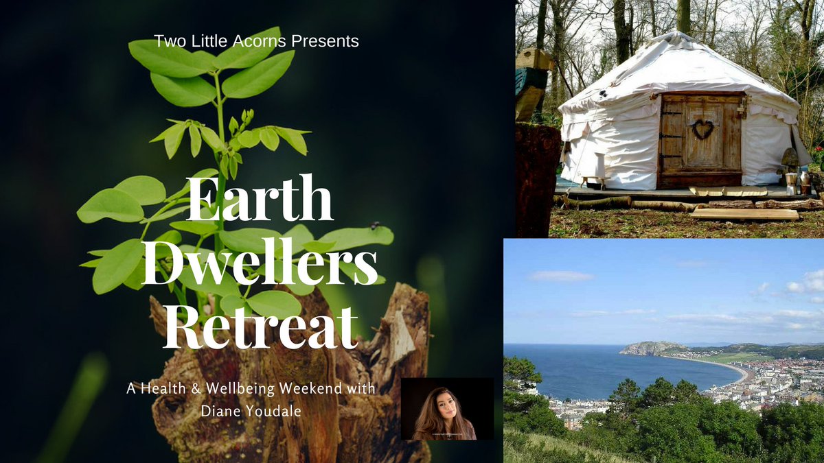 Diane Youdale Gilbert tweet media