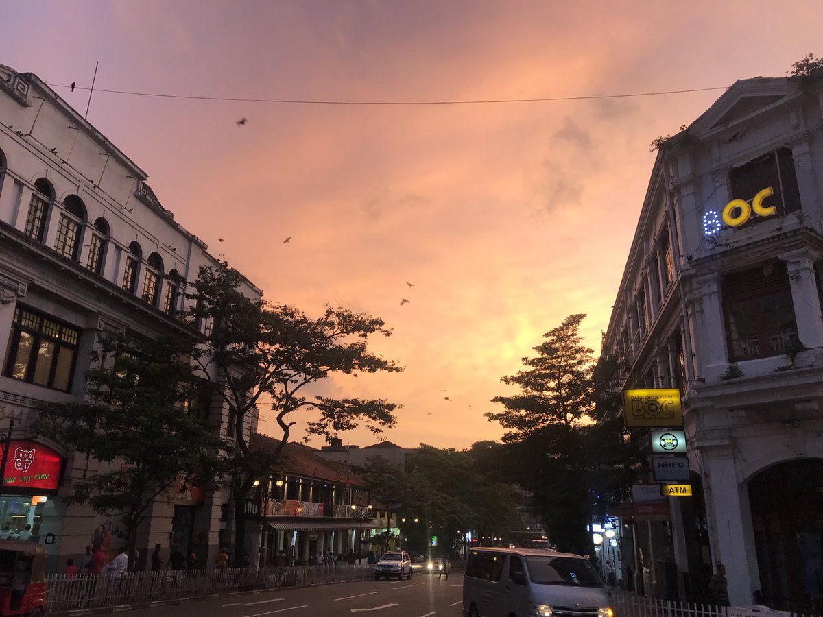 Noriko_Homma's tweet image. We’ve had such an incredible time in Sri Lanka! The landscapes, the food, the people 🇱🇰♥️ Time to come home now ✈️
#SriLanka #EllaRock #Sigiriya #Kandy