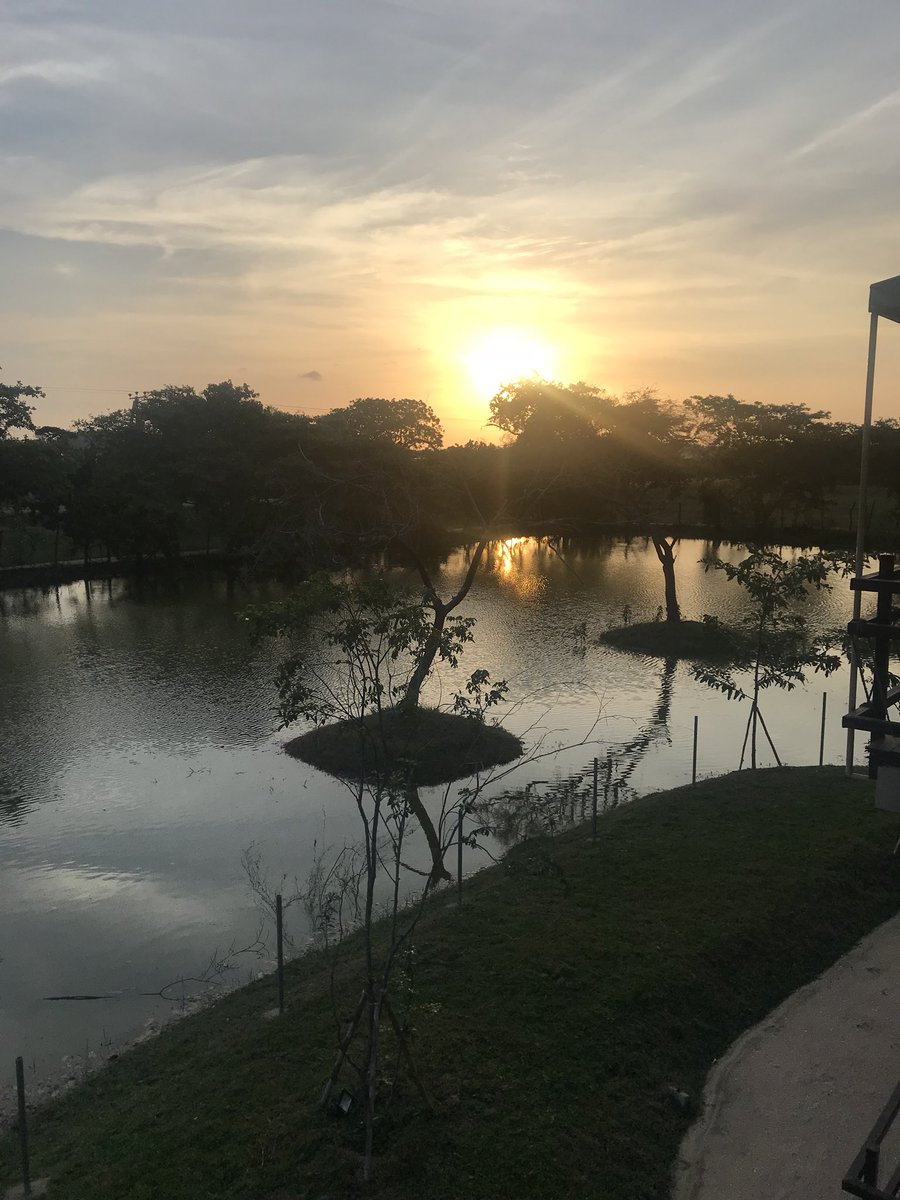 Noriko_Homma's tweet image. We’ve had such an incredible time in Sri Lanka! The landscapes, the food, the people 🇱🇰♥️ Time to come home now ✈️
#SriLanka #EllaRock #Sigiriya #Kandy