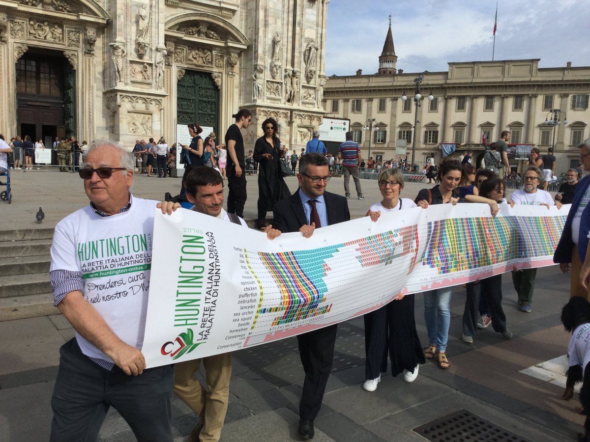 RegLombardia's tweet photo. #LNews assessore #Politichesociali e #Disabilità @bologninistefan ieri a flashmob 'L'insospettabile lunghezza del gene' per sensibilizzare sull'incidenza della #malattiadiHuntington,patologia di origine genetica che colpisce il #cervello,Piazza Duomo #Milano,#HDAYS18,@FontanaPres https://t.co/8dxnVH4q99