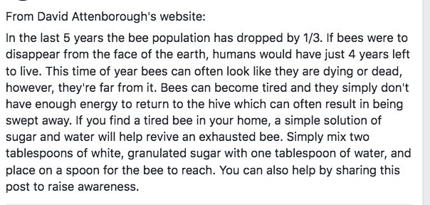 URGENT NEWS ABOUT BEES IN YOUR HOOD THIS SUMMER. 

#davidattenborough #bees #summer #beuseful