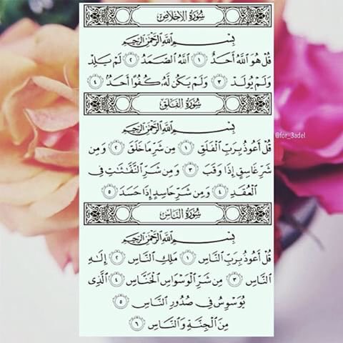لعلها تشفع لنا يوم القيامة💜