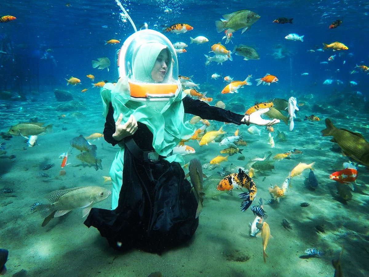 IG : @Umbul_Ponggok (@umbulponggok) on Twitter photo 