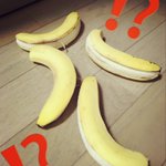 いや、こんなことある？!ｗ朝起きたらつり下げてたバナナが落ちてたw