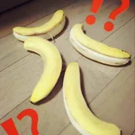 いや、こんなことある？!ｗ朝起きたらつり下げてたバナナが落ちてたw