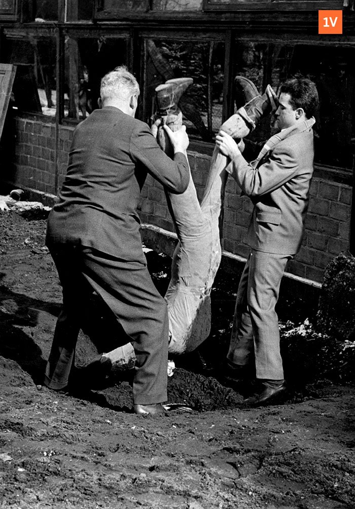 EenVandaag's tweet photo. Verdachten die zélf de hoofdrol spelen in de reconstructie: na 50 jaar duikt een uniek foto-album op van de reconstructie van de Baarnse moordzaak.

Het complete fotoalbum met politiecommentaar kun je hier bekijken: https://t.co/hp9taQ5JWP https://t.co/6gEjIstzaj