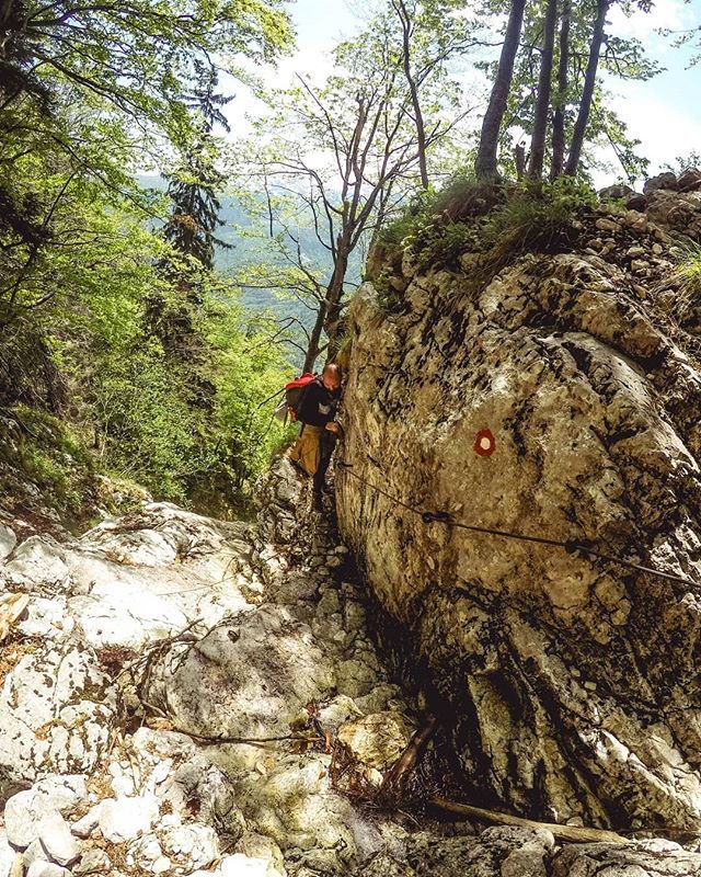 ady_seres's tweet photo. The difficult way to the summit - Triglav Valley

#slovenia #ljubljana #travelblogger #traveler #travel #travelphotography #moody #instagram #instamood #streetphotography #travelvibe #haihuiprinlume #waterfall #ukanc #bohinj #rockymountain #mountainstone… https://t.co/NIDexQ8mu8 https://t.co/zafl7Rl48H