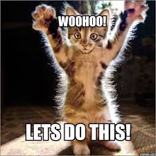 Lindsey Bowkett tweet media