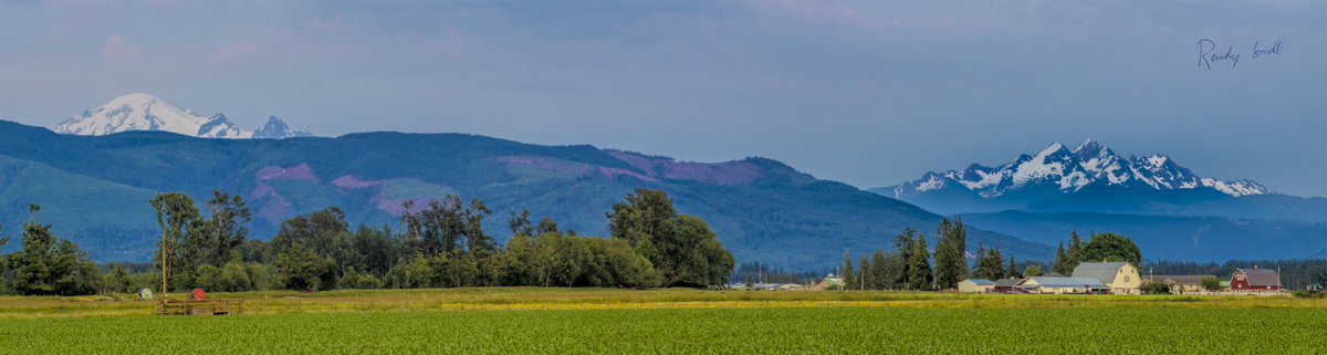 RandySmall's tweet photo. 4 pic pano tonight from #Lynden, WA. #MtBaker and the #TwinSisters tower over the new corn. @NWSSeattle @ScottSKOMO @komonews @KIRO7Seattle @KING5Seattle @Q13FOX @MorganKIRO7 @ErinMayovsky @spann @JimCantore @ThePhotoHour @StormHour @ourLynden @ShannonODKOMO @WeatherNation https://t.co/vttF15hlpA
