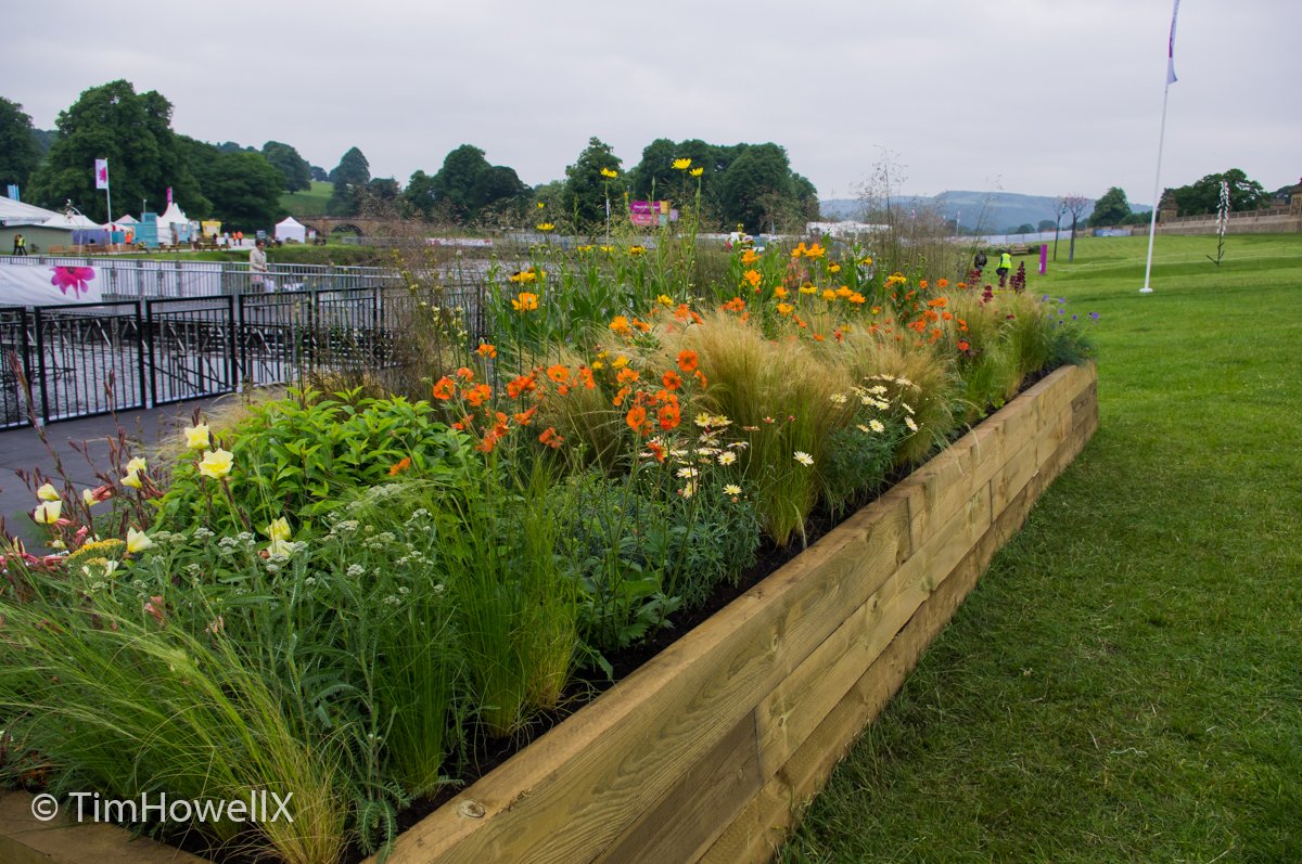 TimHowellX's tweet photo. #RHSChatsworth #LongBorders this one by @KristianReay https://t.co/RlVDkey0JB