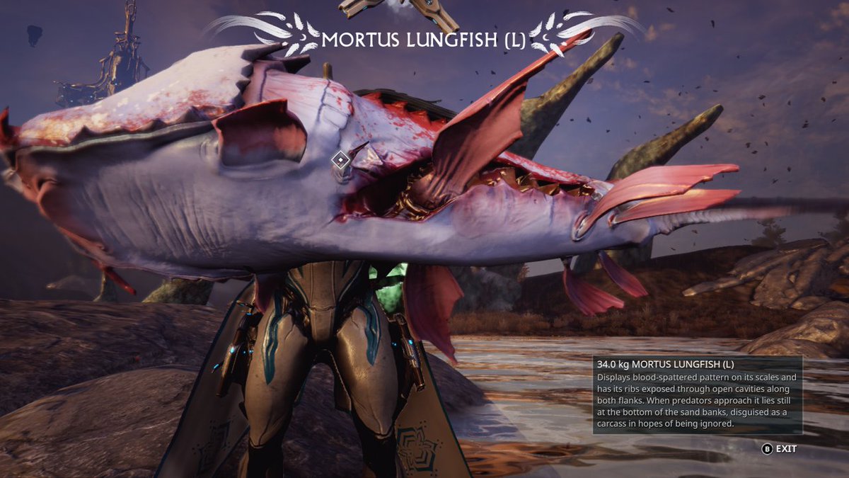 FrumpyWord04731's tweet image. #Warframe #XboxShare