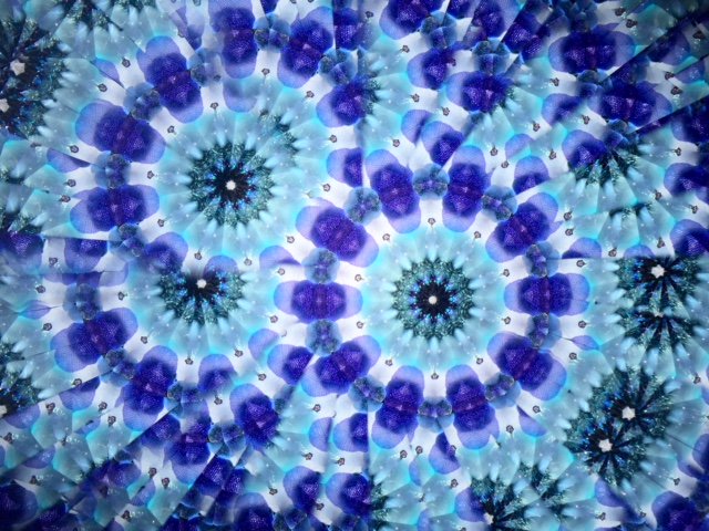 紫陽花の花のtwitterイラスト検索結果