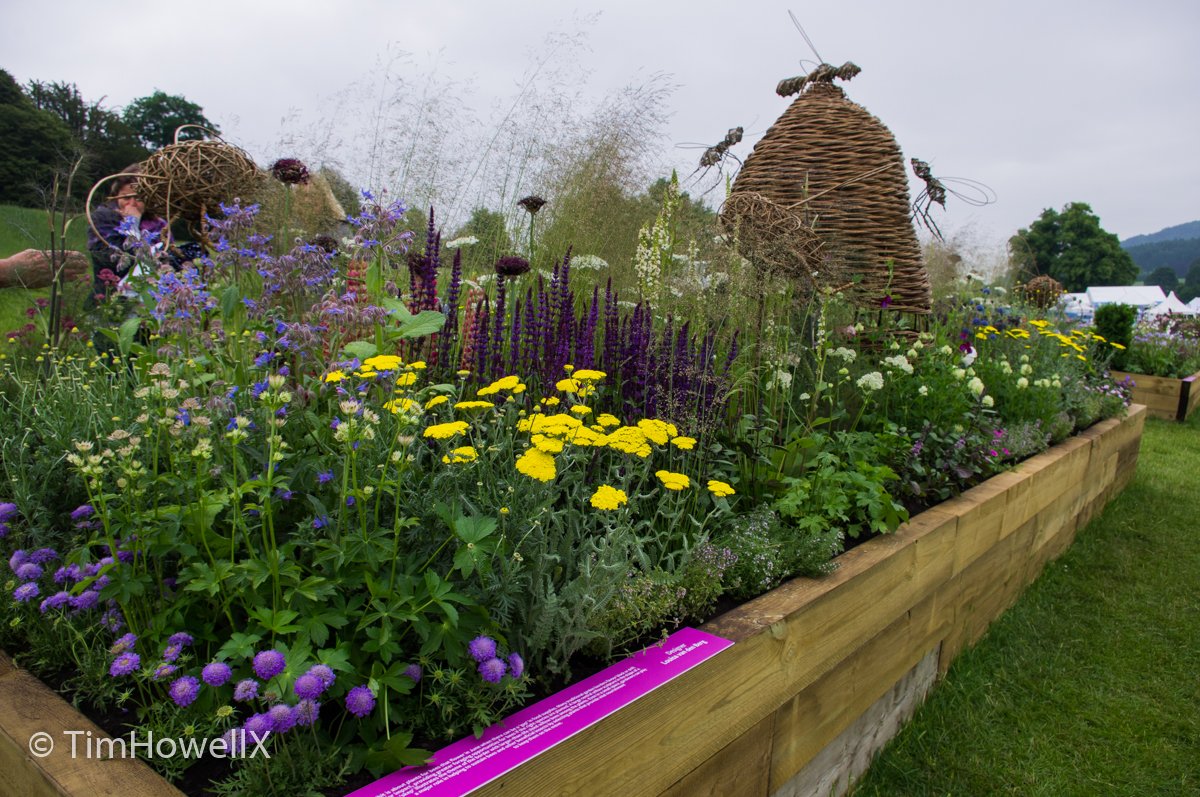 TimHowellX's tweet photo. #RHSChatsworth #LongBorders this one by Louisa Van Den Berg was the overall winner https://t.co/IVorke8lsG