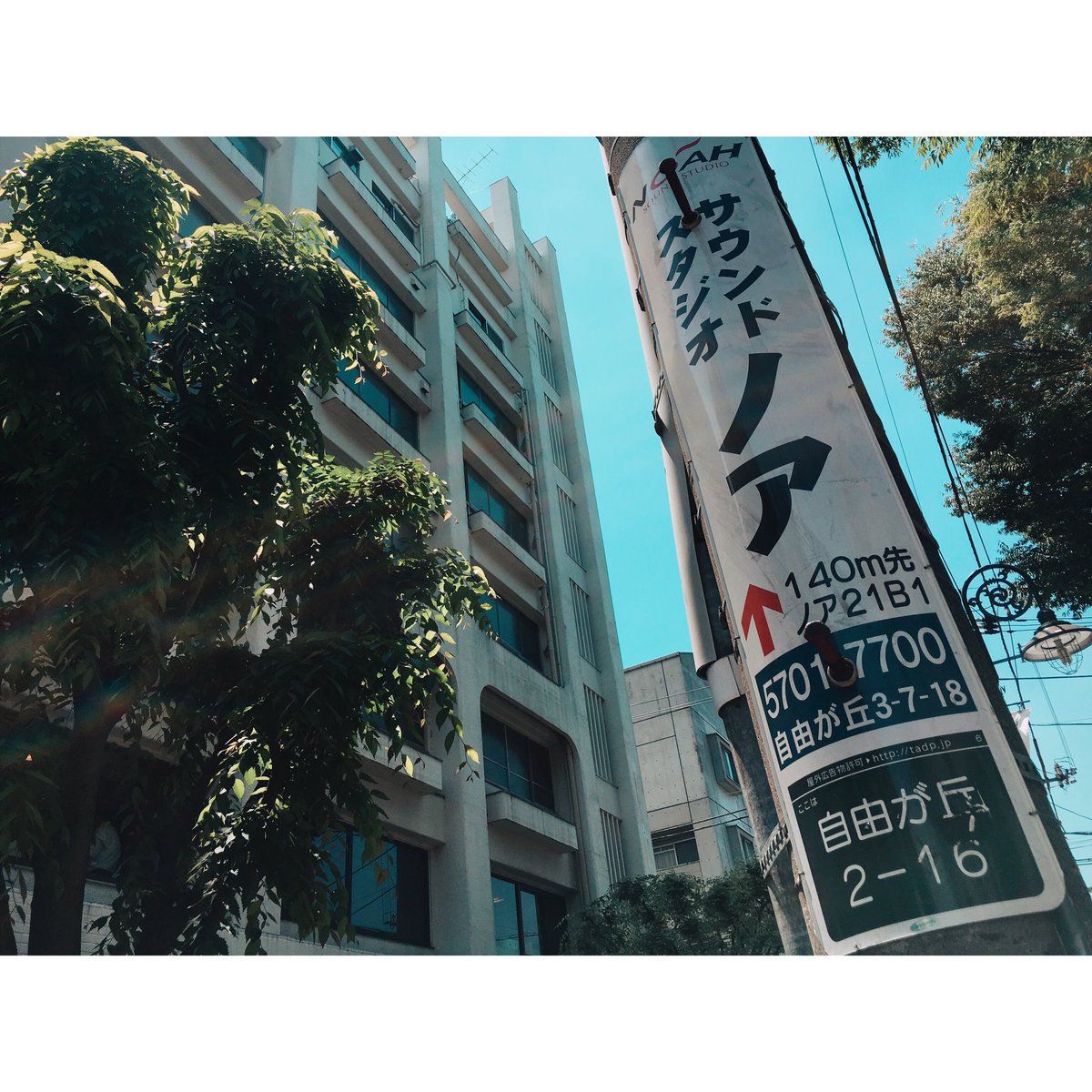 Noah自由が丘 本日の自由が丘 関東は昨日から梅雨入りが報じられましたが 本日めちゃめちゃ晴れてます 自由が丘店のテラスには太陽の光が差し込むので リハーサル後の休憩に一息つかれてはいかがでしょう 03 5701 7700