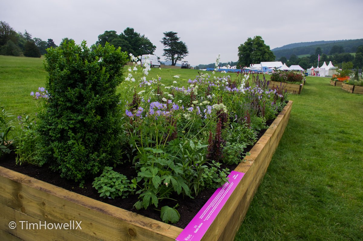 TimHowellX's tweet photo. #RHSChatsworth #LongBorders this one by Amber Norman from @LandscapeSheff https://t.co/VF2dguRz0A