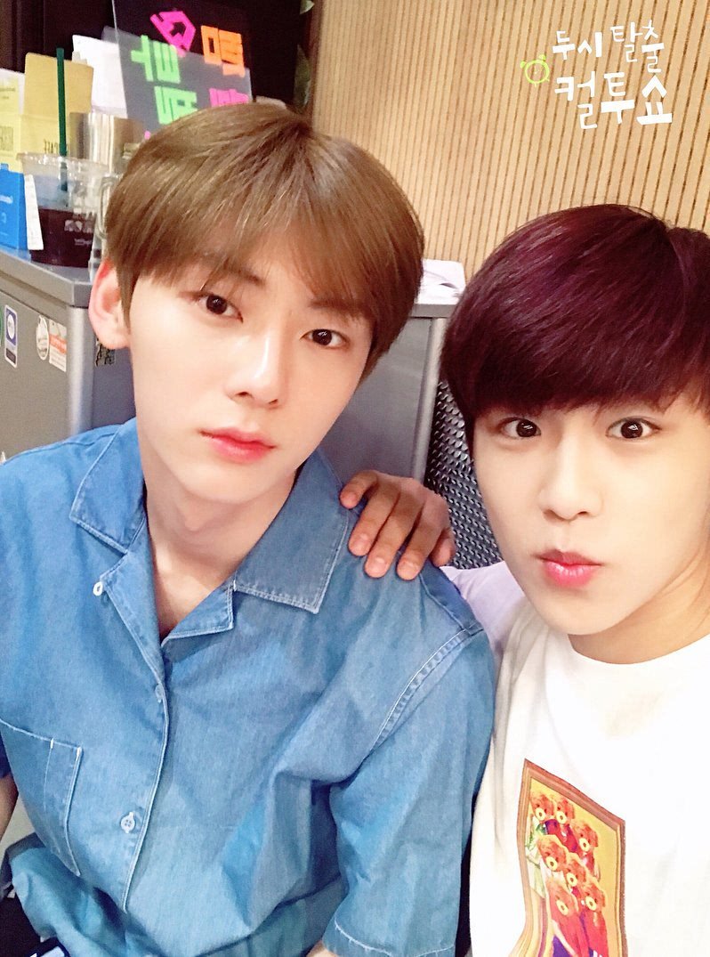 oreoirio's tweet photo. ♡🦊🐦 https://t.co/ScIUqm7hpS