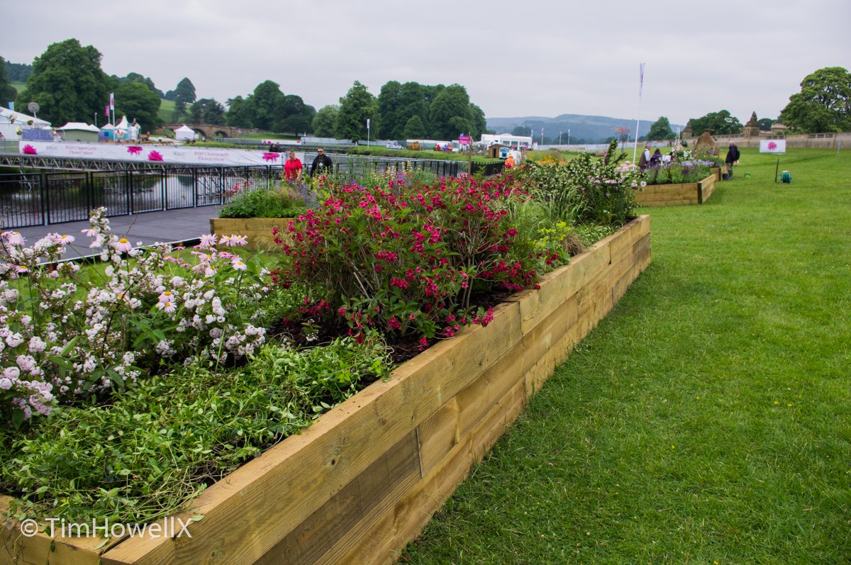 TimHowellX's tweet photo. #RHSChatsworth #LongBorders this one by Bartolomeo Sasso and Liwen Zhang https://t.co/MEH4WgRDe9