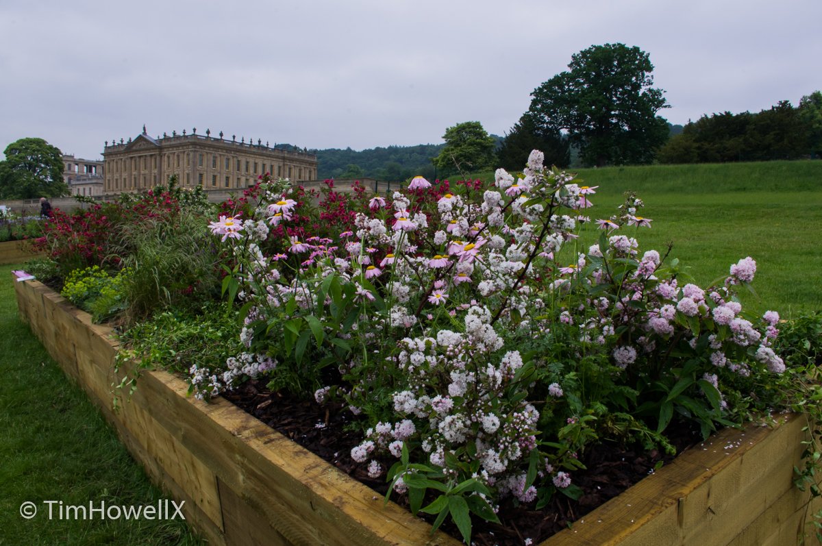 TimHowellX's tweet photo. #RHSChatsworth #LongBorders this one by Bartolomeo Sasso and Liwen Zhang https://t.co/MEH4WgRDe9