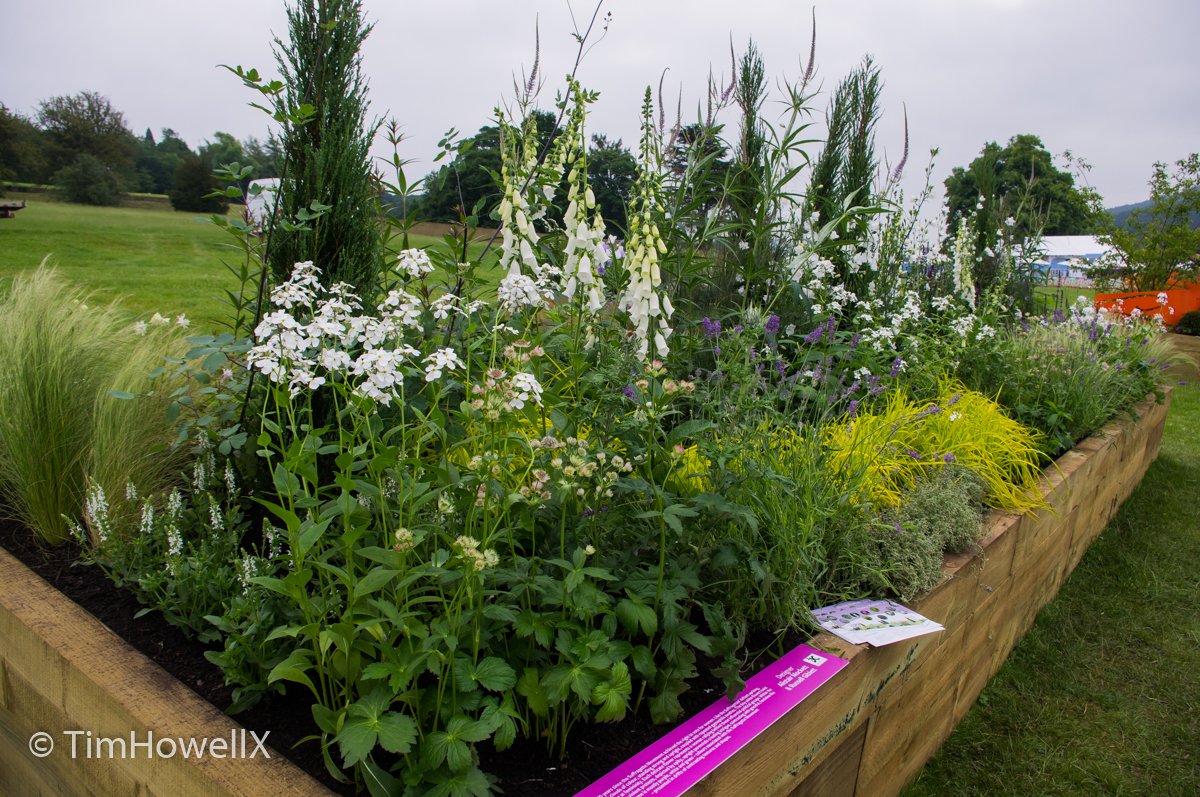 TimHowellX's tweet photo. #RHSChatsworth #LongBorders this one by Alistair Mockett and Russell Giblett https://t.co/qIQseiRBZe
