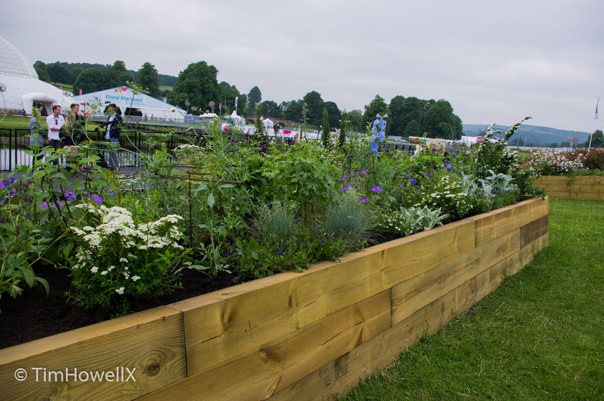 TimHowellX's tweet photo. #RHSChatsworth #LongBorders this one by Georgia Kralj https://t.co/MapSzf2cFa