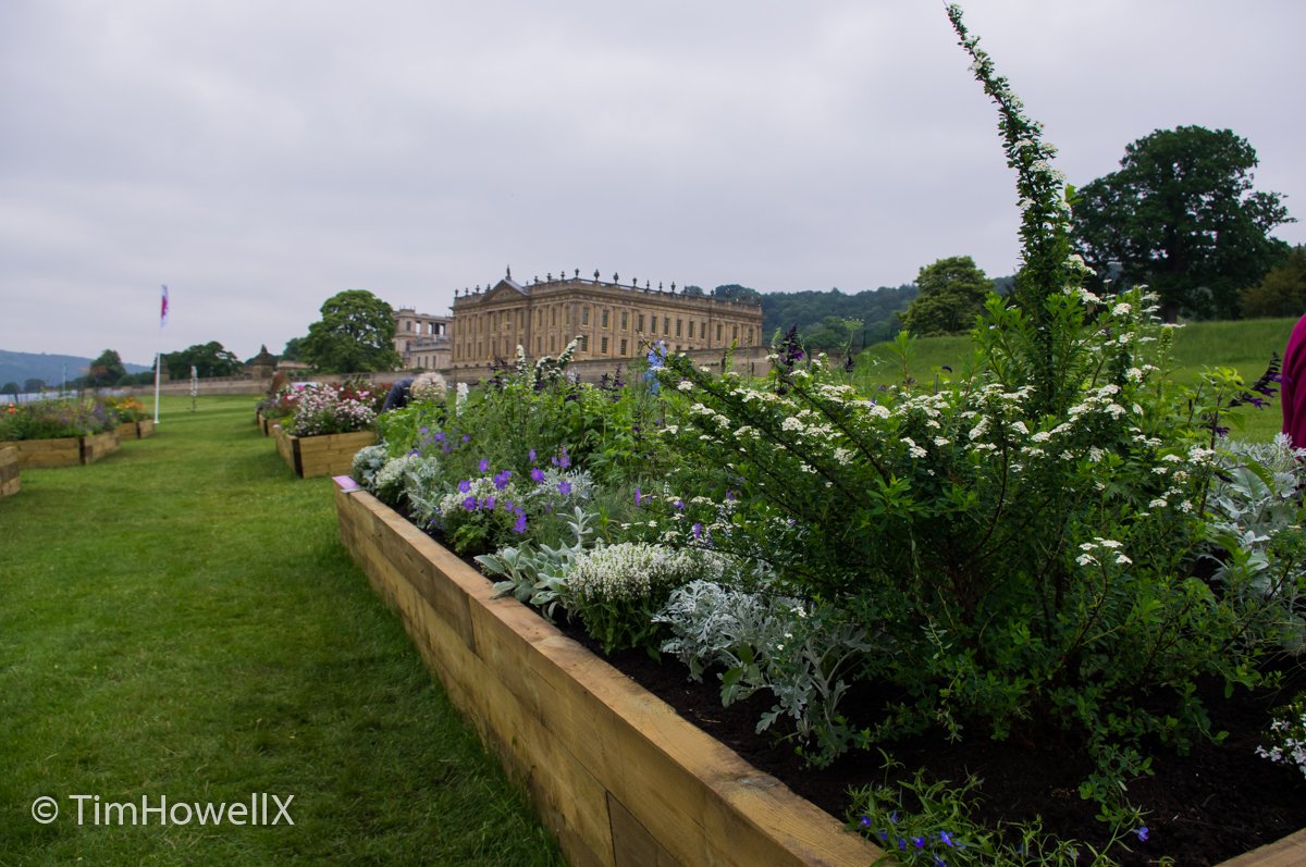 TimHowellX's tweet photo. #RHSChatsworth #LongBorders this one by Georgia Kralj https://t.co/MapSzf2cFa
