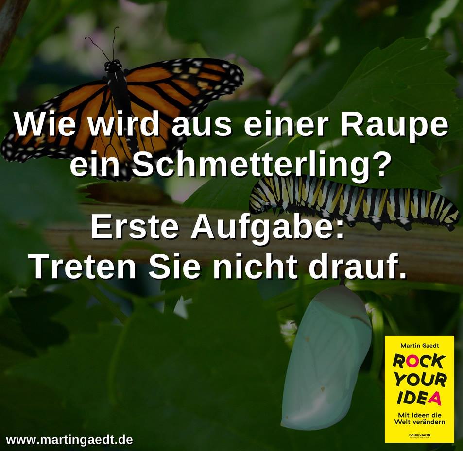 MartinGaedt's tweet photo. Lasst die Raupen blühen und die Rosen schlüpfen.
Freue mich auf 
@Frau_Ramona
@andreas_duve 
@d_vonrueden
@2ChangeCulture
@SOPTIM_digital
@SBC_consult
@UP_Upstalsboom 
beim #ProjektZukunft 
#proudtobepartofit
#transformthinking
Heute @rockyouridea im DEPOT https://t.co/H6bqv1XKds https://t.co/kmEvUTMenZ