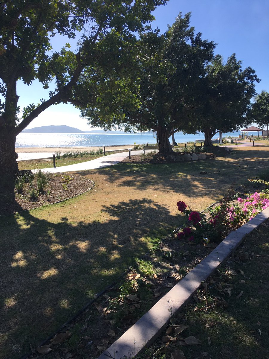 Megan Avard tweet media