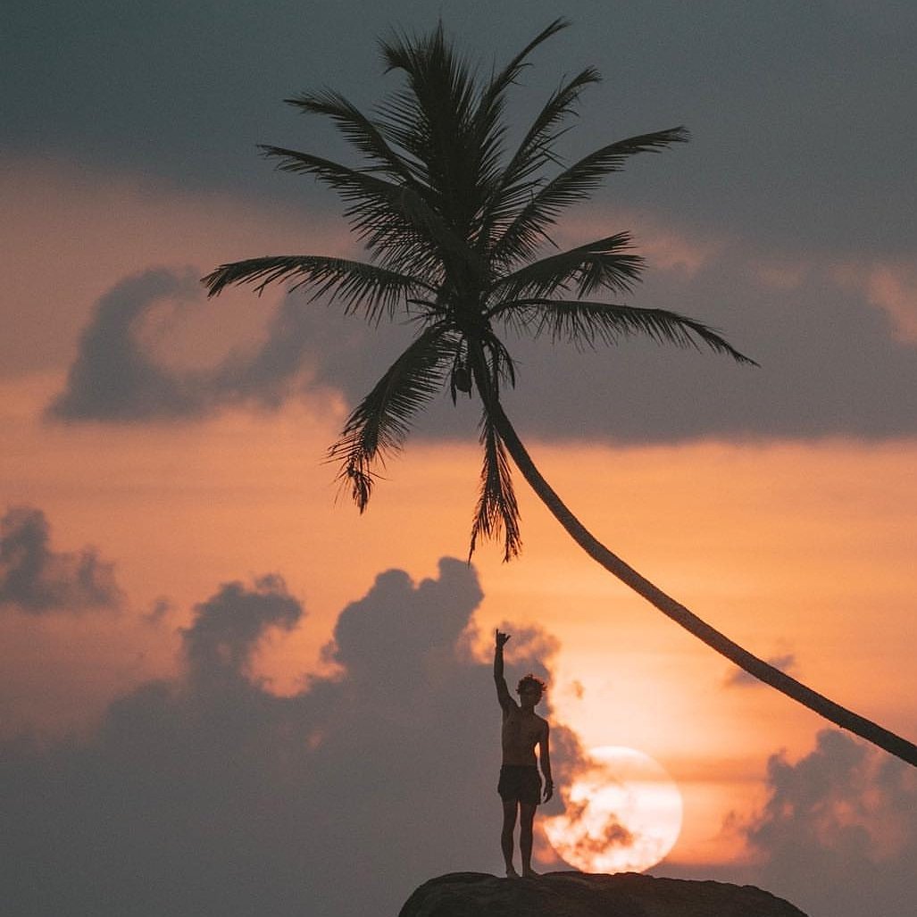 NH_Escapes's tweet photo. We've just updated our #SriLanka acommodation guys. Stop by and check it out - it's Aweosme. We are now located in the heart of #Weligama where the food, surf and vibes are epic 🌴 Our last escape here sold out in no time, no miss out again 🤛 #ActiveTrips #StayActive #SurfEscape https://t.co/LasFwnyqc1