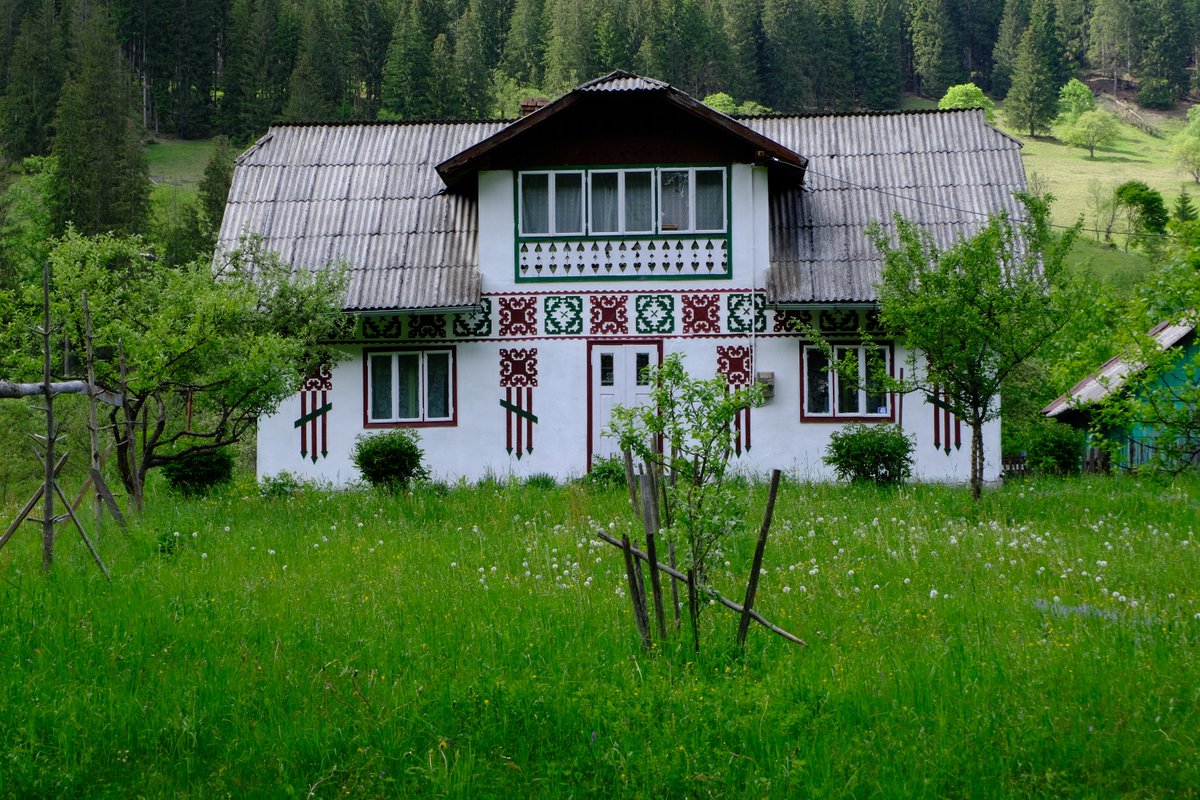 RobertChiorbeja's tweet photo. Traditional Romanian House

#bucovina #sceava #romania #beautiful #house #traditional #photography #photographer #fujifilm #fujifilm_xseries #xt20 #grass #forest #nature https://t.co/6lFBuIhnib