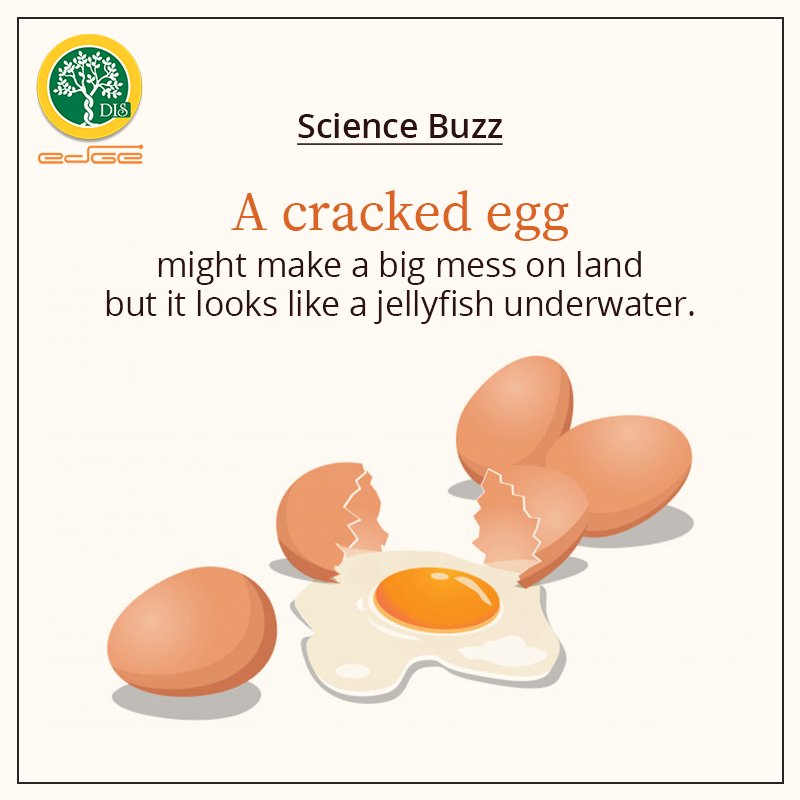 disedgedwarka's tweet image. #ScienceBuzz #DISEdge