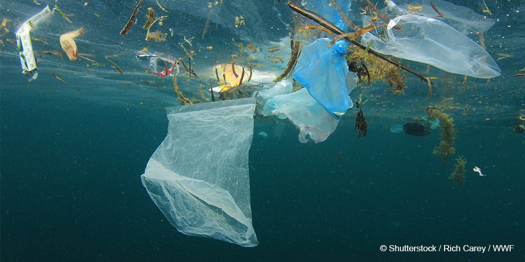 WWF's tweet photo. Microplastics are tiny bits of #plastic that get eaten by fish &amp; eventually by us. How will you #UseLessPlastic? Find out more: https://t.co/FL1j1J2RYT #connect2earth #WorldOceansDay👉8 jun https://t.co/ttu9P1We39