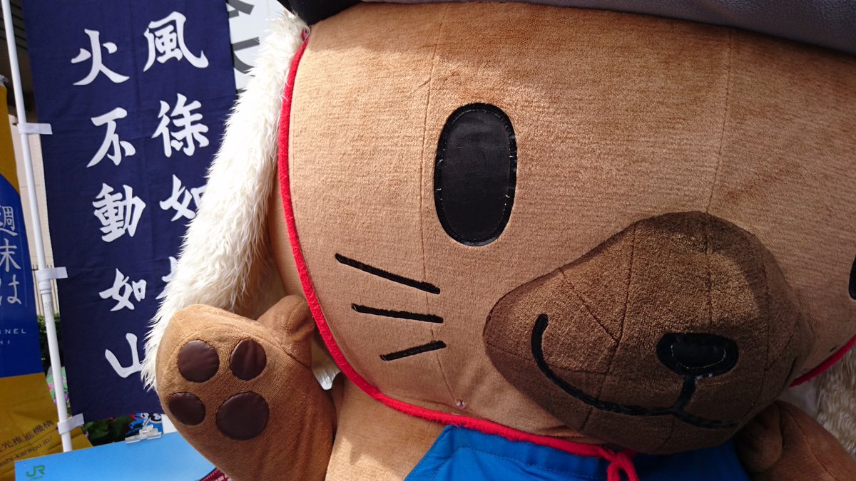 公式 風林火山 甲陽戦国隊 甲斐の虎 Twitter પર 江戸にて久しゅうに会う武田菱丸どのは ほんに可愛いまる ﾉ ﾉ 武田松姫 自民党物産展 永田町 山梨県 ゆるキャラ やまなしフェア