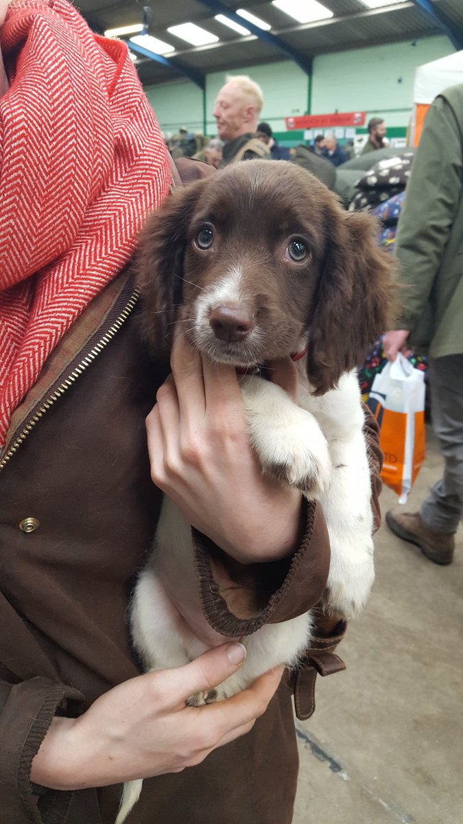 Dorset Police Rural Crime Team tweet media