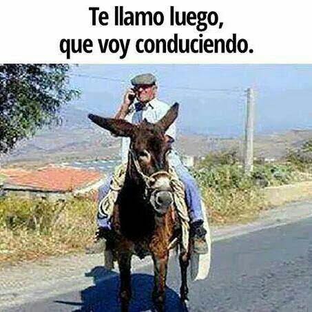 Ver imagen en Twitter