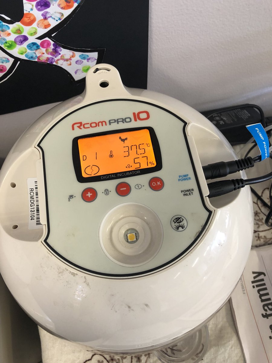 Tabitha Wormald tweet media