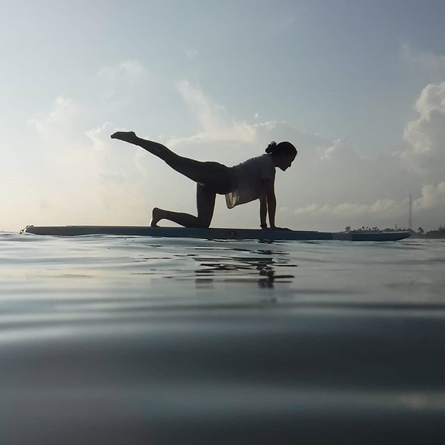 YogaFloats's tweet photo. Love the glassy ocean days https://t.co/dH1K9rJSPY https://t.co/VbwkdAIbDO
