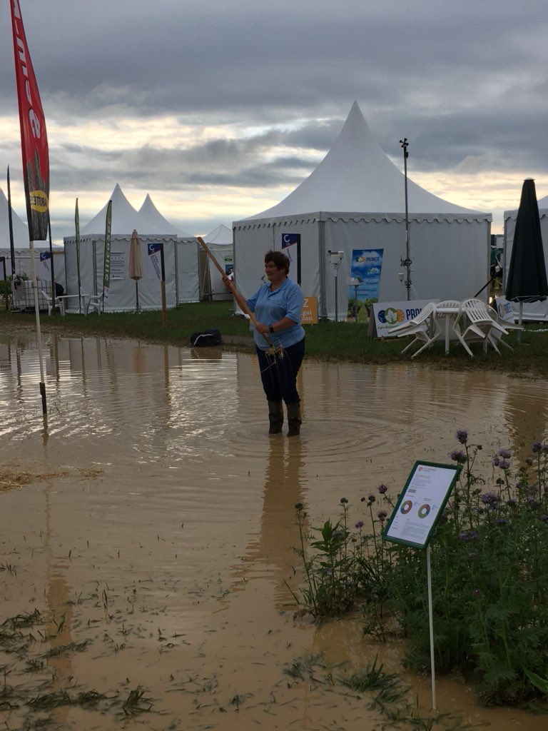 SemProvence's tweet photo. La Camargue s’invite @LesCulturales mais nous sommes toujours parés à accueillir les visiteurs ! #phacelie #intercultures #intemperies #boue https://t.co/Nw6q5Xdnut