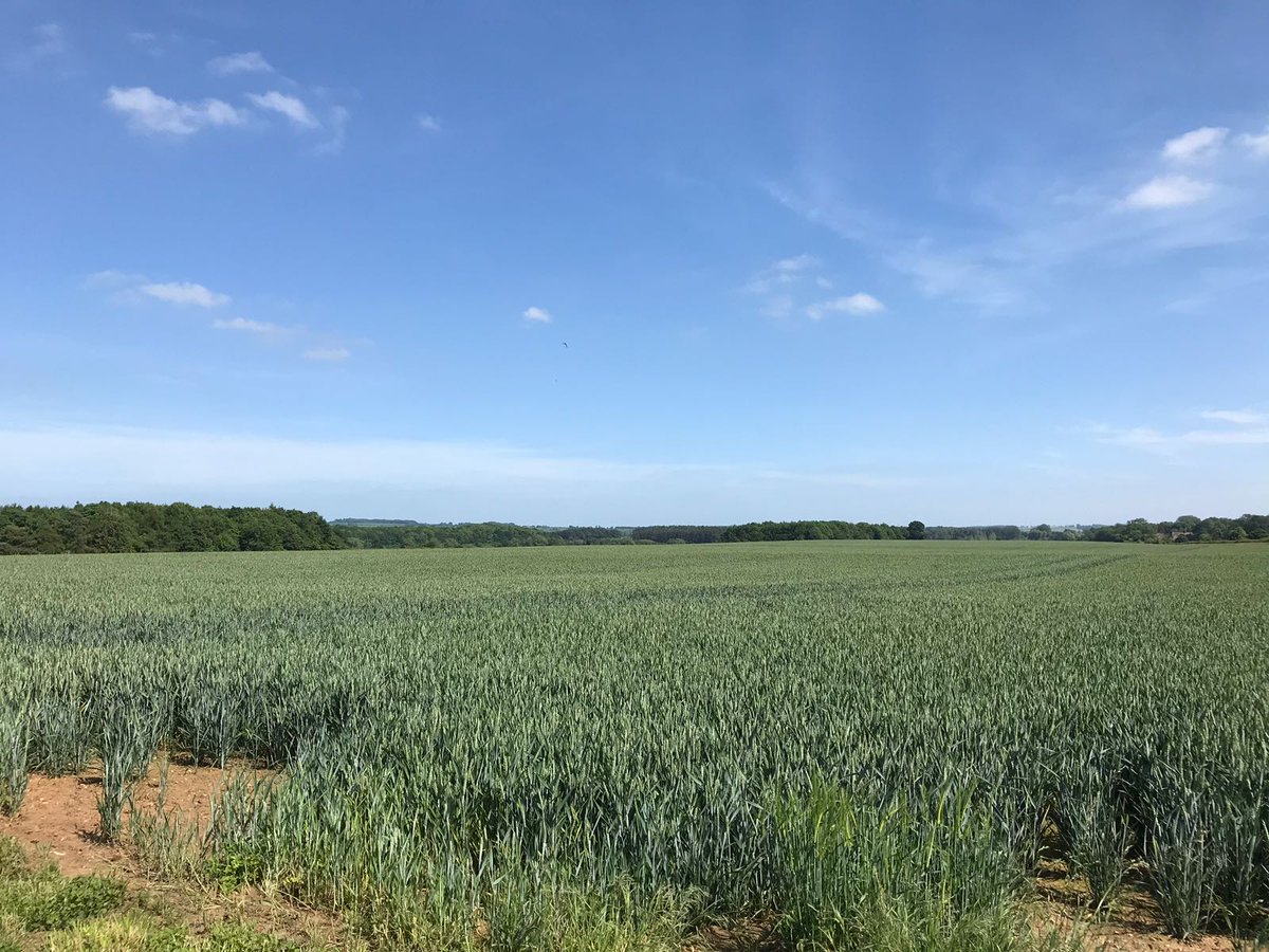 TechHummingbird's tweet photo. Anna, Ben & Will were in #Oxfordshire with the NPK Club yesterday, talking all things Hummingbird!
#FutureFarming #HummingbirdTechnologies #MachineLearning #DataScience #AI #AgTech https://t.co/x0HChVZnYf