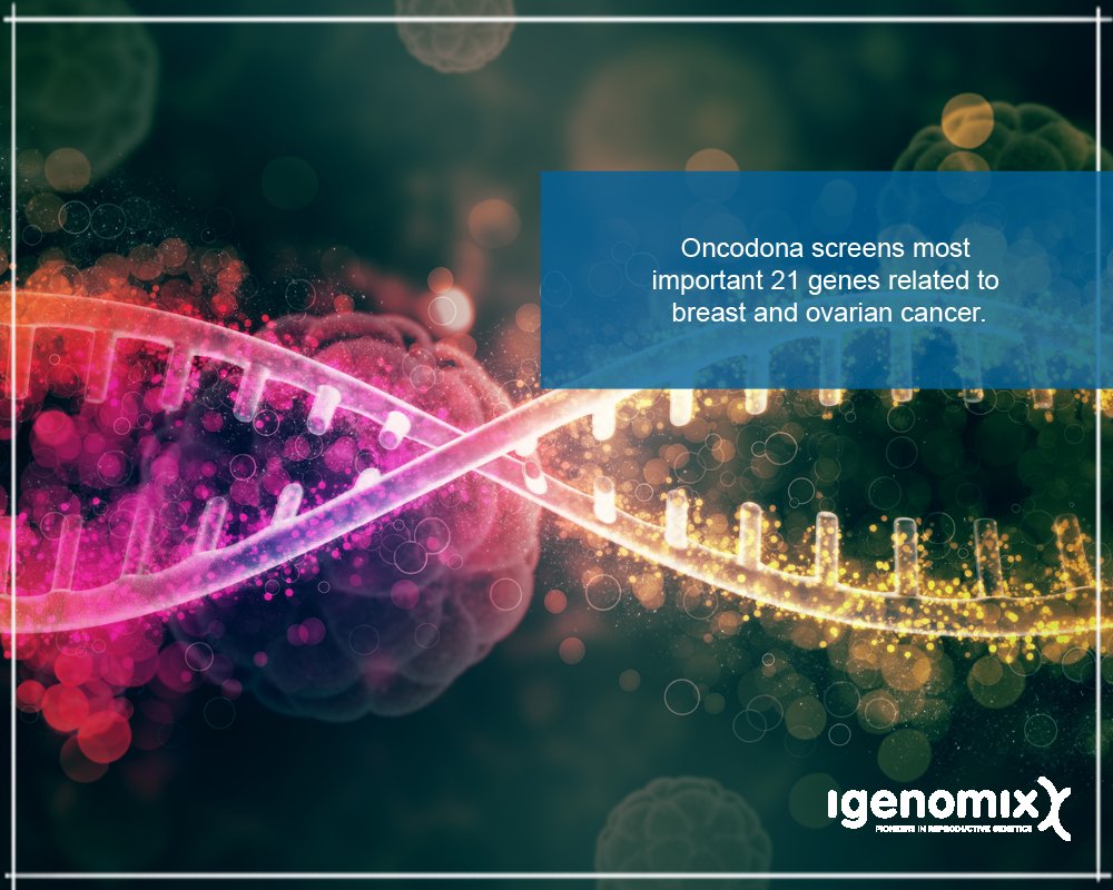 IgenomixME's tweet photo. Better be tested than sorry! Opt for #Oncodona, a genetic screening that analyzes 21 genes related to breast and ovarian #cancers. The test helps locate mutations that increase the risk of developing these types of cancer. Read more about it here: https://t.co/pIbWrgDuMy https://t.co/celB6dA1u3