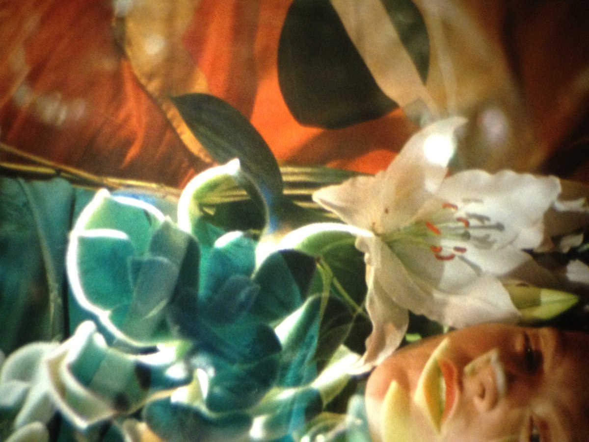 SFCinematheque's tweet photo. @foxonfilm @KQEDarts
.
Mining Magic at CROSSROADS Festival
https://t.co/bO7kSTmraS
.
#xrds18 @SFMOMA
 @zonaingravida #simonliu #richardtuohy https://t.co/FAUJZpgLb5