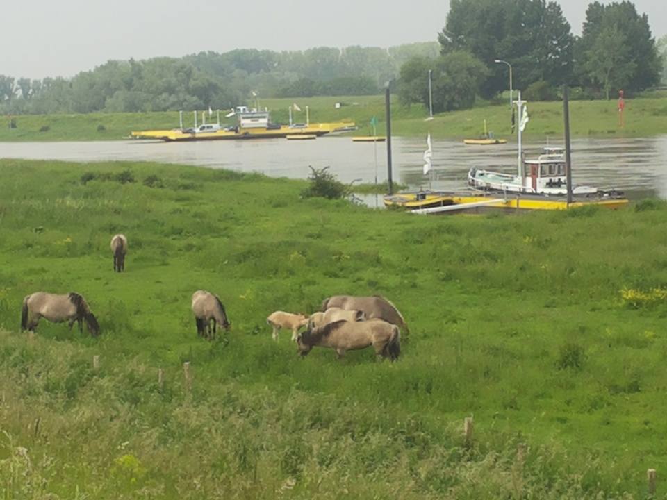 Tijdens het 3e weekend van september organiseren we rond de mooie camperplaatsen van de #GeldersePoort een heel festival. Interesse? 3oeverfestival.nl/nl/praktische-…
<a href="/NKCtweet/">NKC</a> <a href="/Camperpunt/">Camperpunt</a> <a href="/camperforumnl/">Camperforum.nl</a>