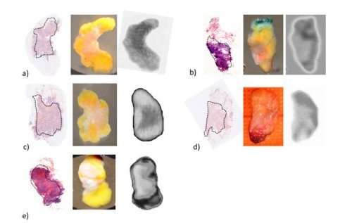 lt3_bordeaux's tweet photo. New paper about oncology with terahertz waves :  https://t.co/bTxahrE3go #OSA https://t.co/CqF0W0cTtm