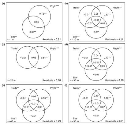 Oikos_Journal's tweet image. On the blog: #spatial_distribution - a matter of #phylogeny  or #environment? oikosjournal.org/blog/spatial-d… onlinelibrary.wiley.com/doi/10.1111/oi…