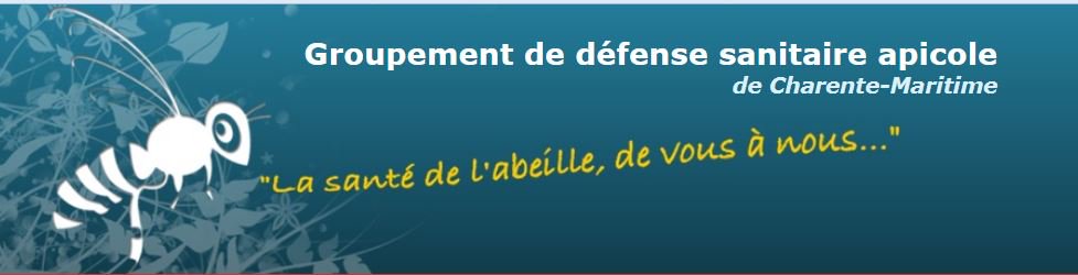 1ToitPourLesAbeilles tweet media
