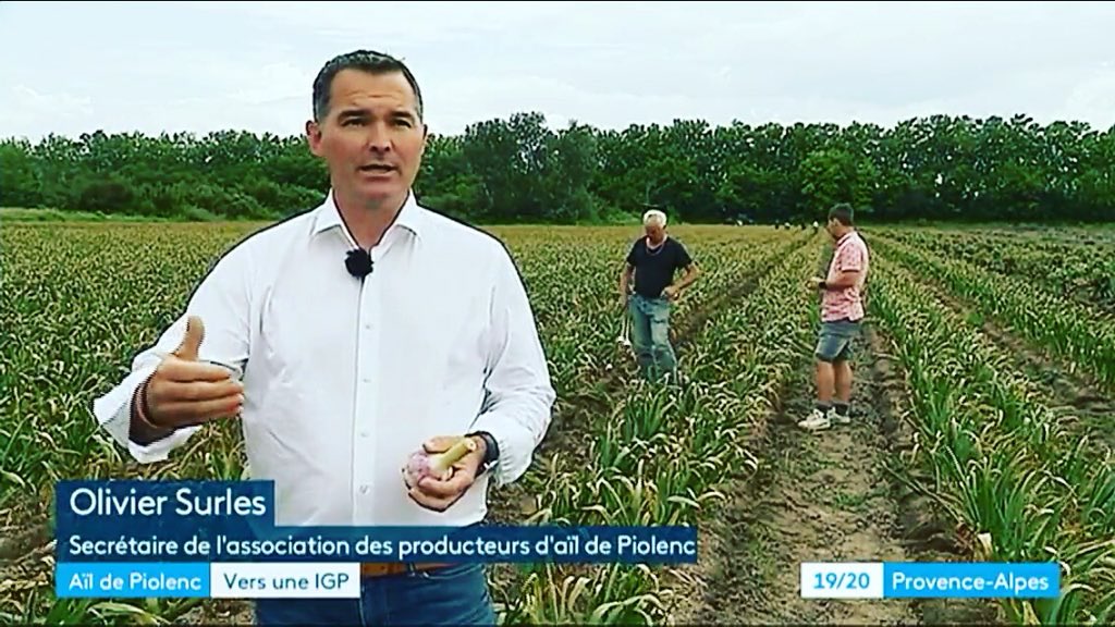 OlivierSurles's tweet photo. Arrivée de l’Ail Nouveau Reportage #Fr3Provence #AildePiolenc #Piolenc #Agriculture #Terroir #StayFrech #FrenchFood https://t.co/9ffNRyFNiP
